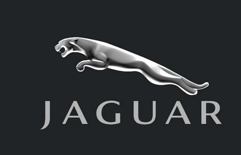 捷豹车什么标志?