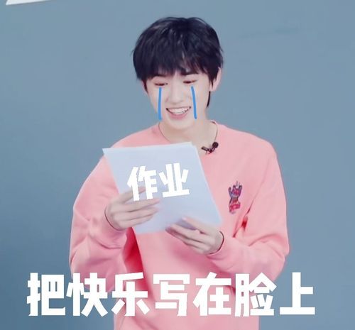 宋亚轩表情包