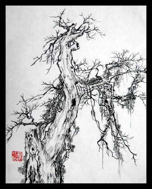 【国画山水】《枯树》