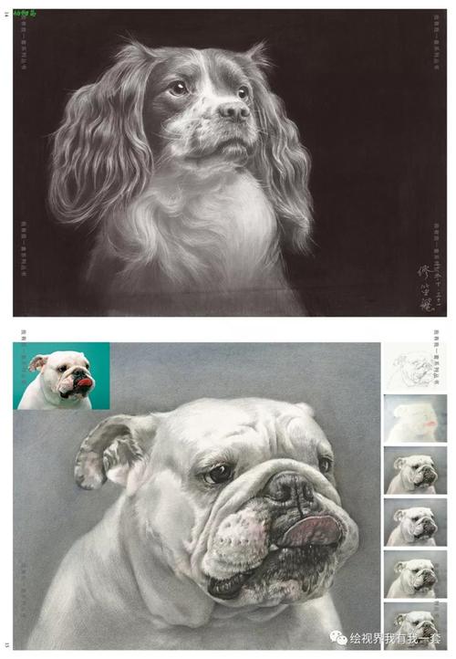 2019精微素描孙建邓招煌品博我有我一套素描静物动物昆虫猫狗画花卉