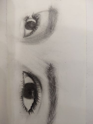 近期画的,有临摹有自己照着照片画的,很久