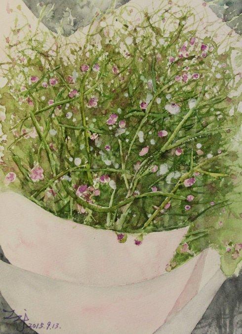 彩色的满天星.水彩画.