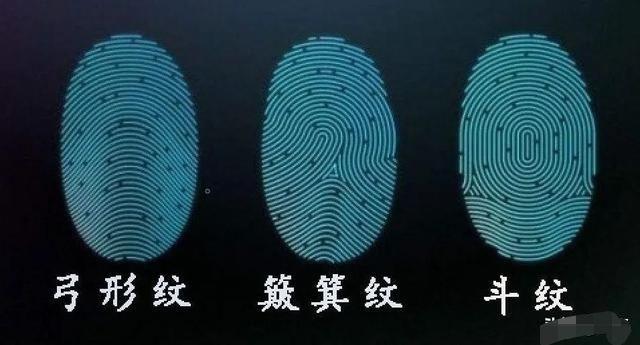 人的指纹可以被修改或者删除吗