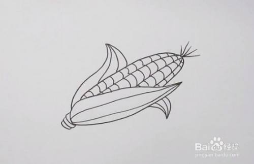 如何画玉米简笔画