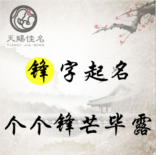 锋字起名满腹才干如不可挡的男孩名字大全个个锋芒毕露