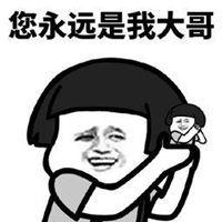 大哥你说了算表情包【点击鼠标右键下载】