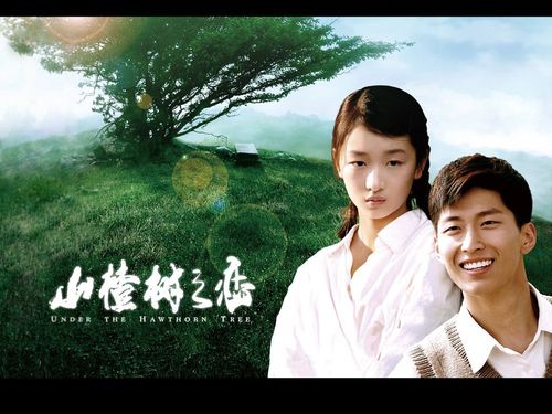 美丽的山楂树之恋桌面