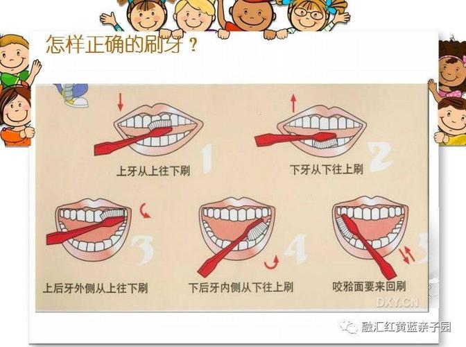 想要拥有一口洁白靓丽的牙齿,首先先要掌握正确的刷牙方式