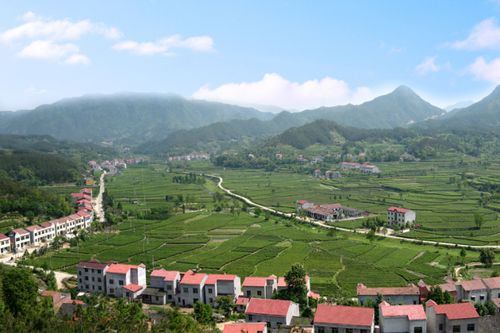 魅力英山