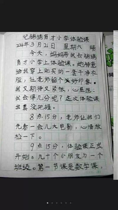 五年级日记