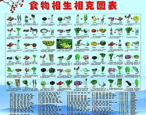 相生相克食物手抄报 食物手抄报