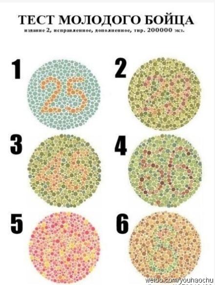 请大家识别一下这张色盲,色弱的检测图,我怎么看不出5号是什么?