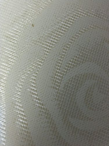 为什么我的床垫上有许多这种小虫子,床单,枕头上都是