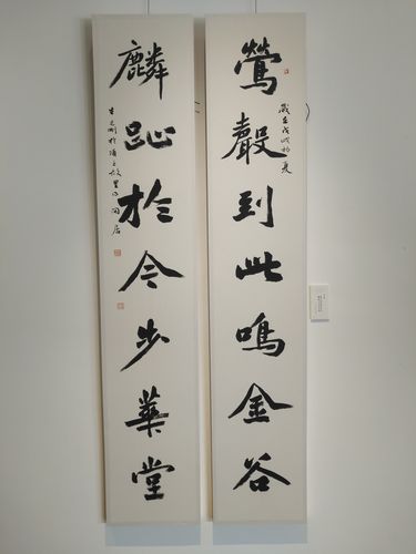 风雅颂全国书法名家楹联展