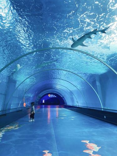 永泰欧乐堡海洋世界