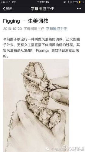 字母圈_360图片