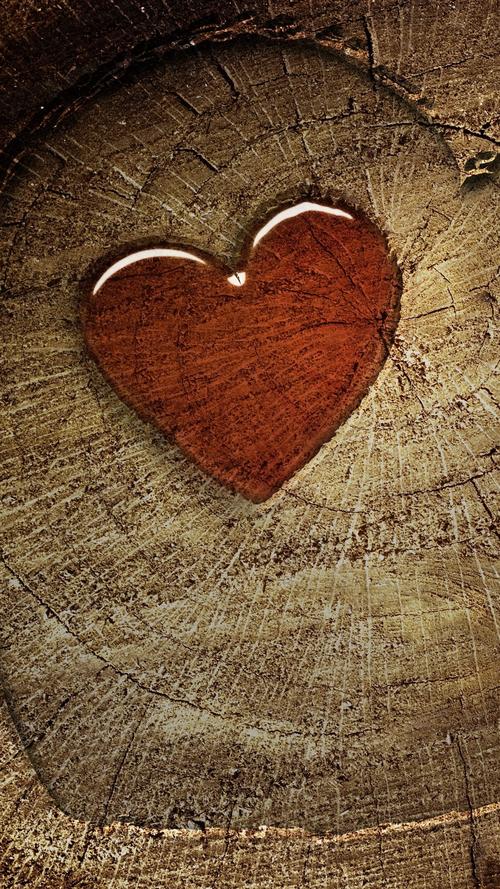 1080_1920竖版 竖屏