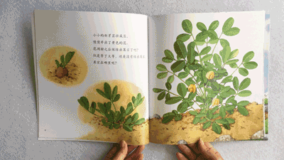 适龄好书 | 备受老师家长推崇的儿童金牌畅销绘本,培育宝宝智能,品格