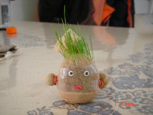 冬天里的春天——小雨的草娃娃