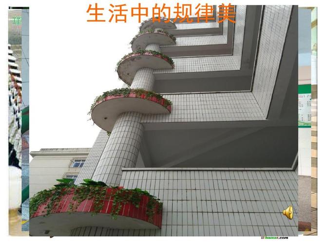 生活中的规律美ppt