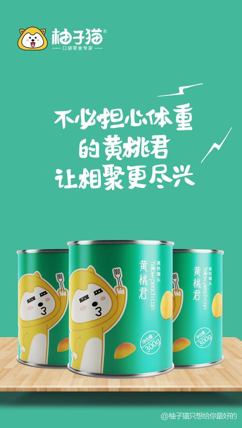 柚子猫的罐头 系列海报