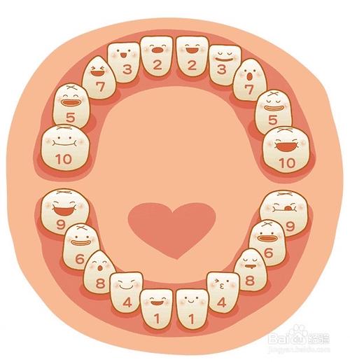 《牙齿小百科》——丹瀛小一班课程故事