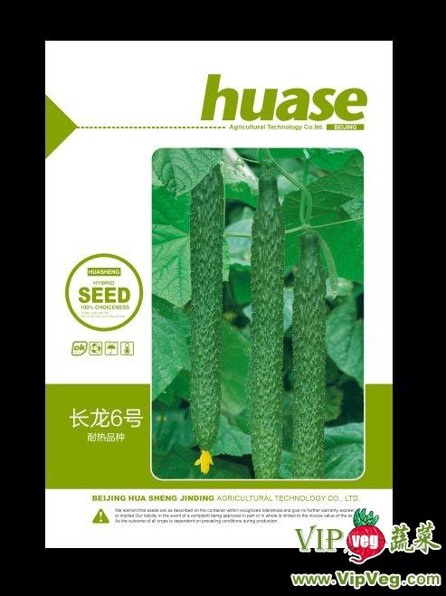 供应长龙6号-黄瓜种子