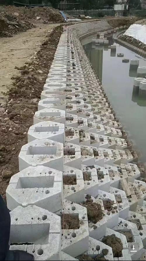 50*50*20河道水库水利生态鱼巢护坡砖塑料模具厂家直销支持定制