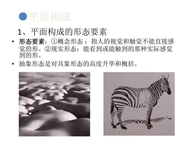 自然科学 物理 平面骨骼和基本形ppt ●平面构成 1,平面构成的形态