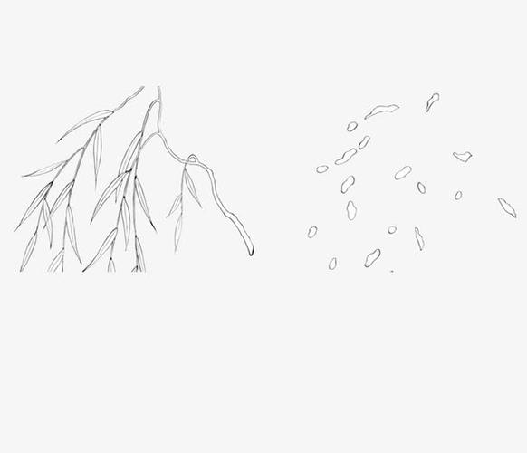柳絮图案