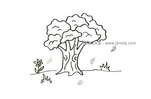 第九步:用波浪线画出树冠上的纹理,这是一棵枝繁叶茂的大树哦.