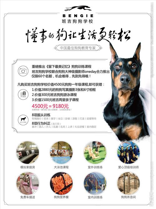 宠物学校推广海报设计图__广告设计_广告设计_设计_昵