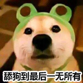 你不会真以为王思聪是舔狗吧