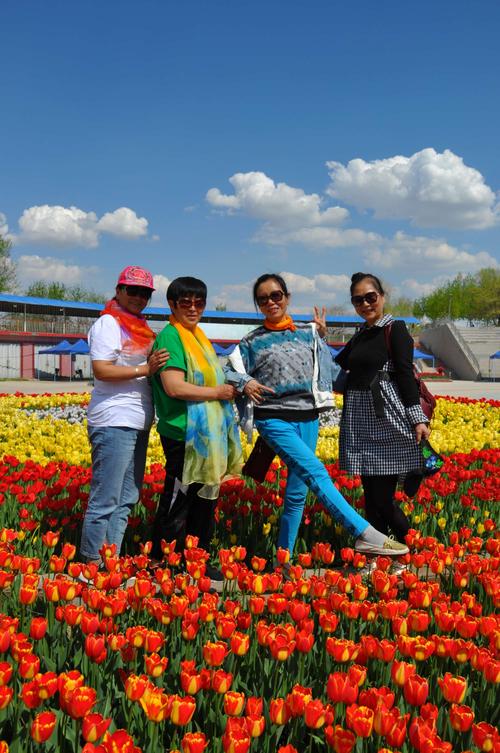 游青格达湖 赏郁金香花