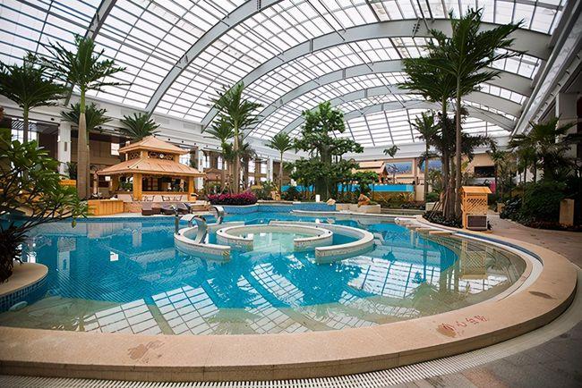 国信南山成本土ip最大赢家|温泉酒店|净月