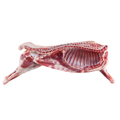 喜欢盐池羊肉整只的还喜欢