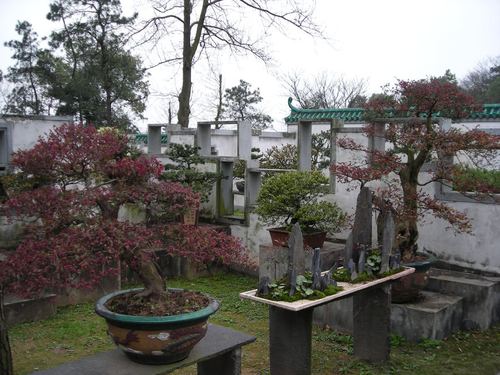 万景园中的园林美景