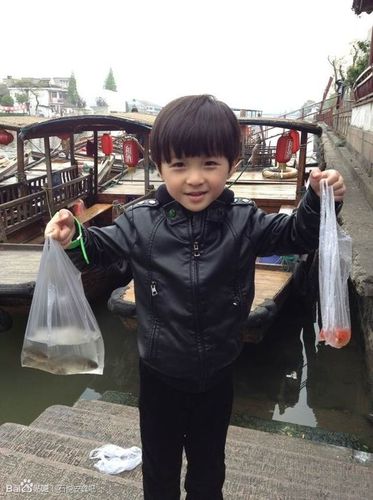 石悦安鑫 小安安!的这个发型叫什么啊?