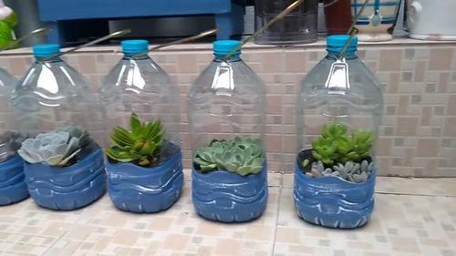 塑料瓶千万别扔,用来做多肉植物花盆,美观且保温肉肉蹭蹭的长!