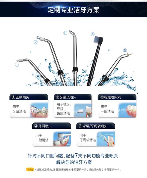 waterpik洁碧 经典家用式洗牙器牙缝清洁牙齿正畸冲牙器 wp-112ec爵士