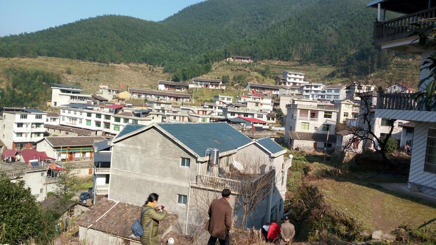 武夷山下__大坞村