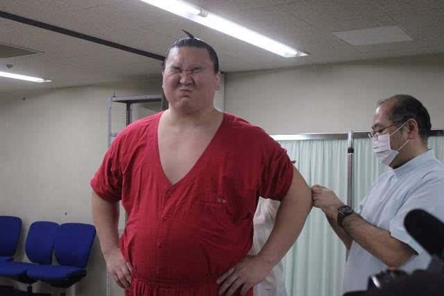 日本相扑打针,简直就是一个个活体"表情包"www