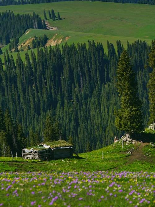 《海蒂与爷爷》的取景地