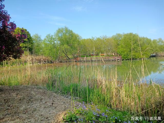 四月芳菲,春日里的龙之梦太湖湿地公园处处是美景