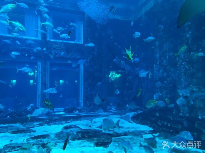 迪拜亚特兰蒂斯失落的空间水族馆图片 - 第61张