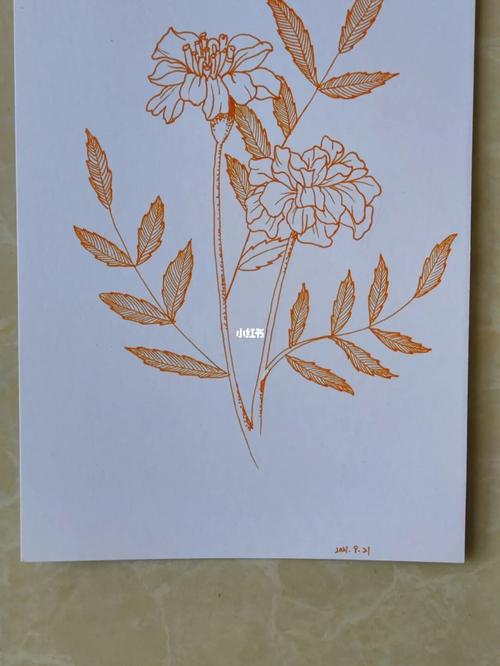 一笔一世界38_孔雀草_绘画_小白学画画_兴趣爱好_绘画