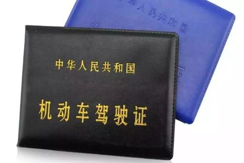 啦啦啦,阿程拿到驾照了_驾驶证