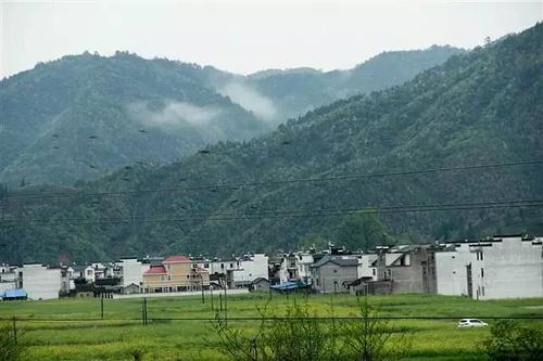 塔坊镇 才貌美女 鸟语花香,四季如画 每个季节都让人如痴如醉 历口镇