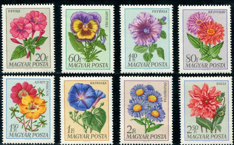 匈牙利邮票 1968年 庭院花卉8全(大图展示)