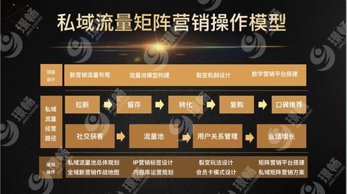 模型三:私域流量矩阵营销操作模型